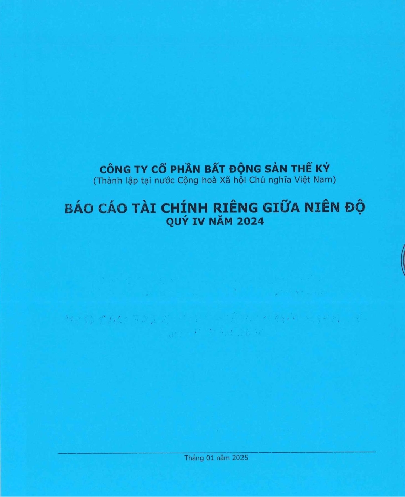 Báo cáo tài chính riêng quý 4 năm 2024